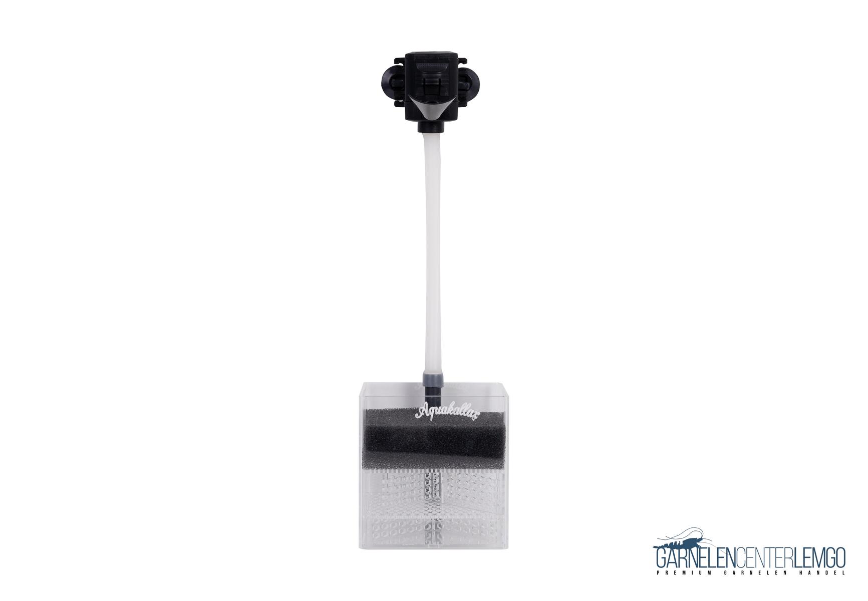 Undergravel Boxfilter mit Pat Mini - Größe S 10x10x10cm UGF