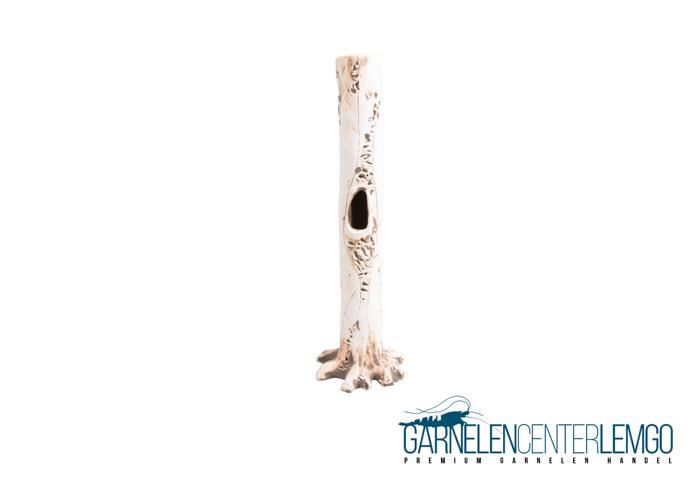 Garnelen Baumstamm L