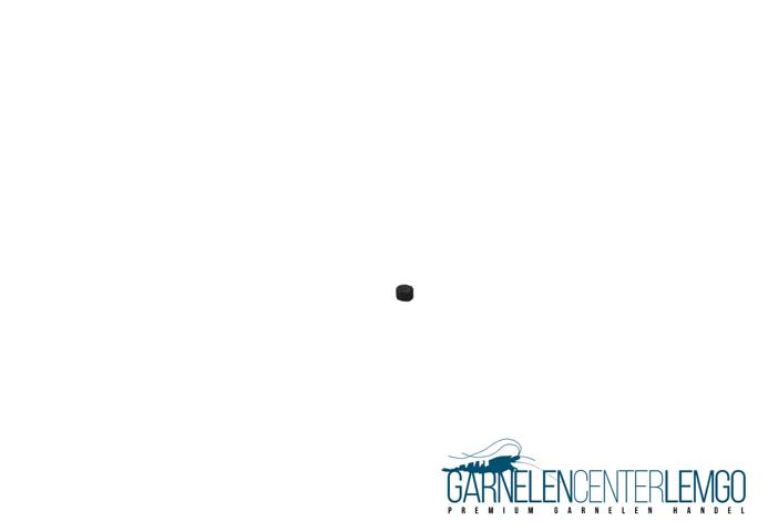 Söchting Oxydator Mini - Katalysator