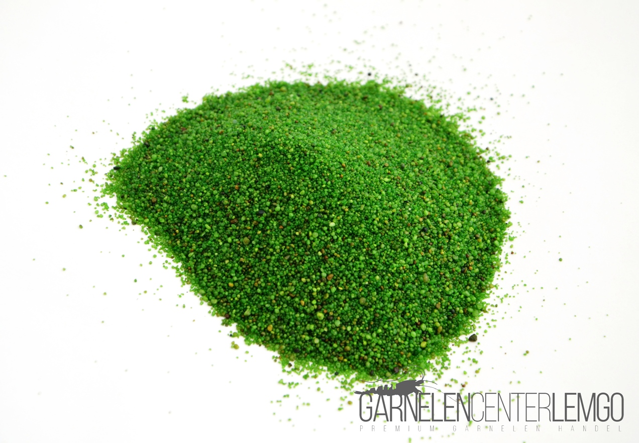 Garnelenkies Grün