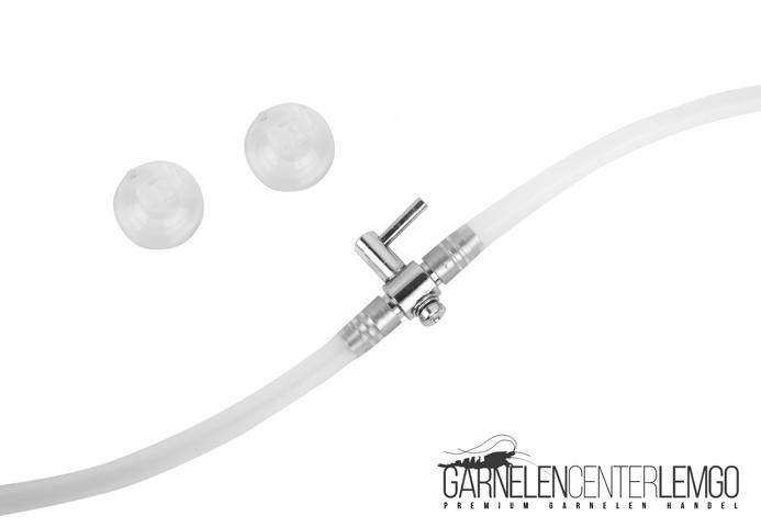 Garnelen Eingewöhnungsset