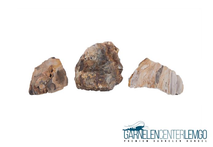 Versteinertes Holz 1kg