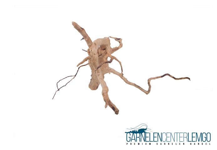 Rote Moorwurzeln - Größe S