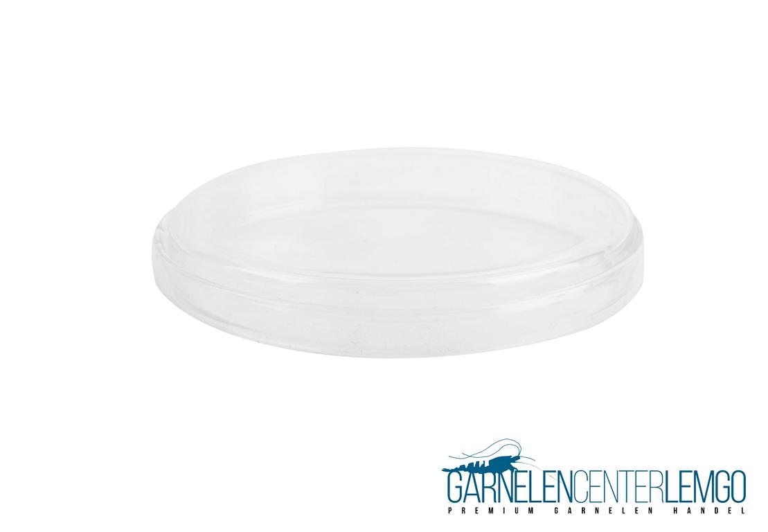 Futterschalen aus Glas XL - Doppelpack