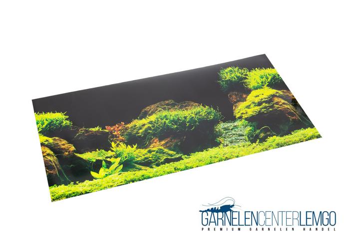 Aqua Nova Aquarien Hintergrund Rock/Plants 60x30cm