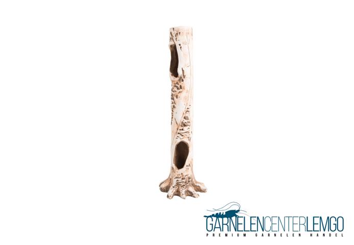 Garnelen Baumstamm XL