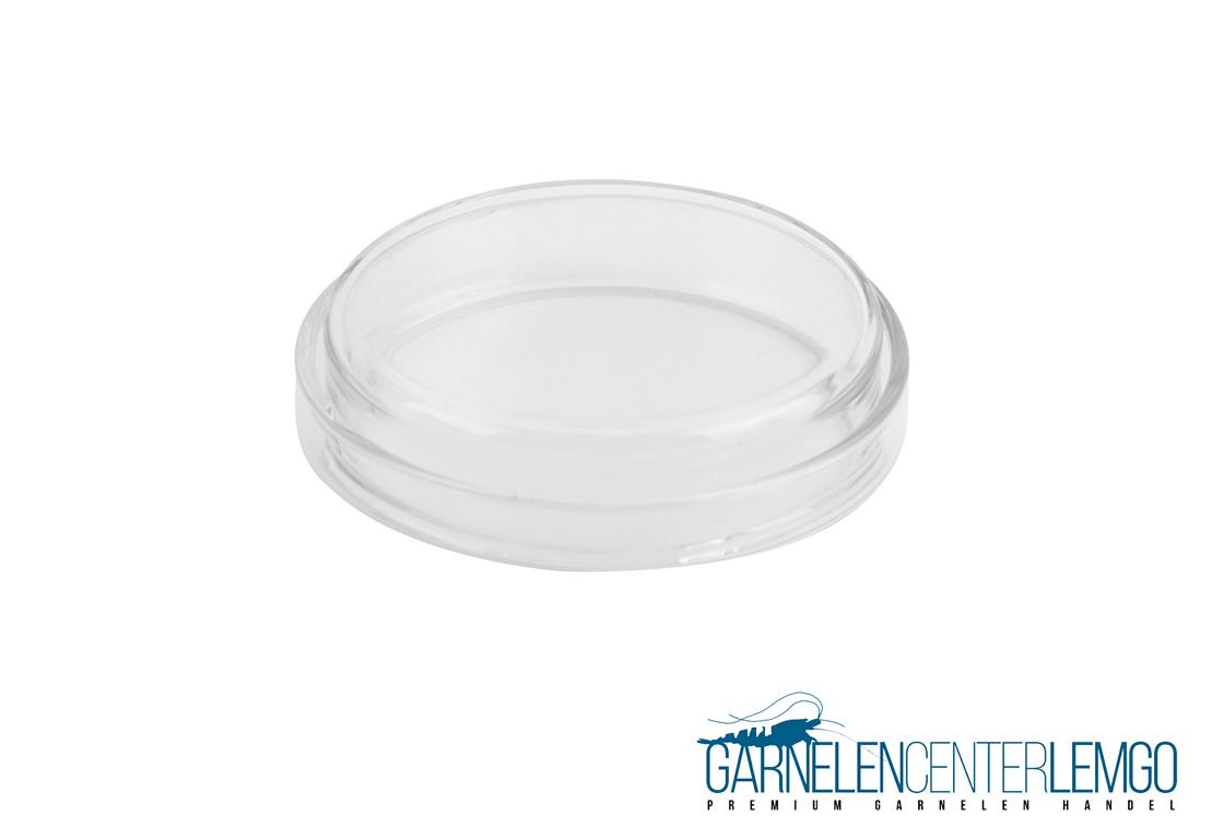 Futterschalen aus Glas - Doppelpack