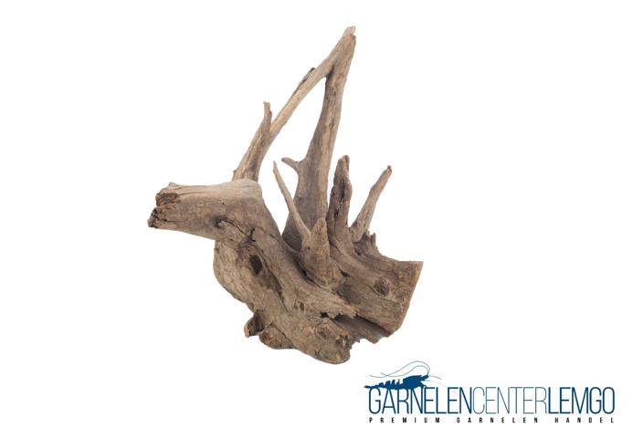Pinwood Wurzeln / Corbo Root