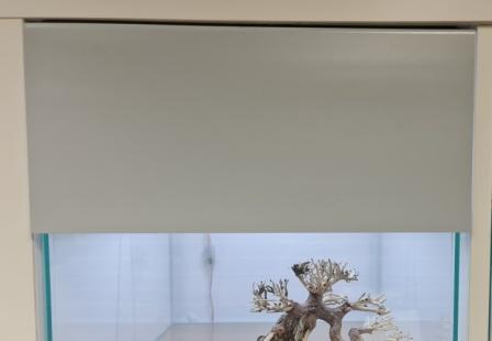 Basic Blende Grau matt , Regal, ideal für 20er Beckenhöhe