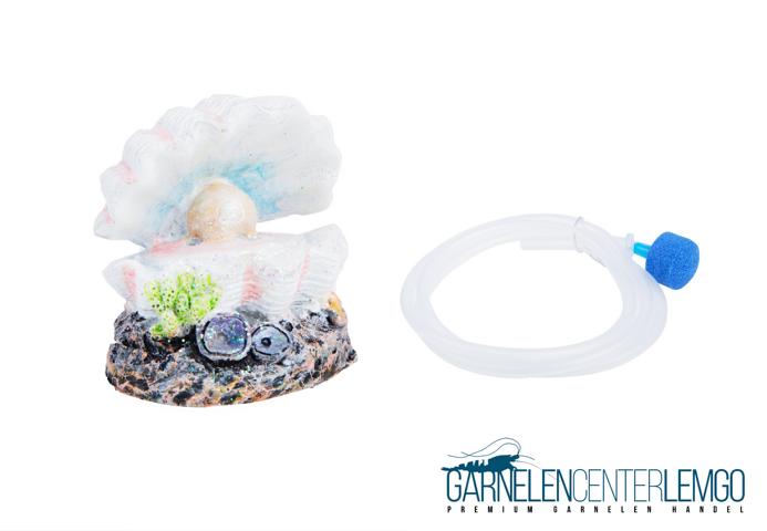 Deko Muschel / Luftausströmer