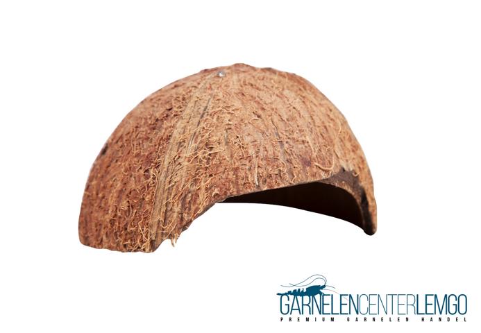 Kokosnuss Schale - Halbschale