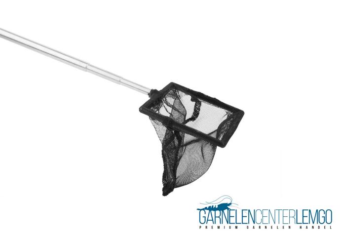 Kescher mit Teleskopstiel